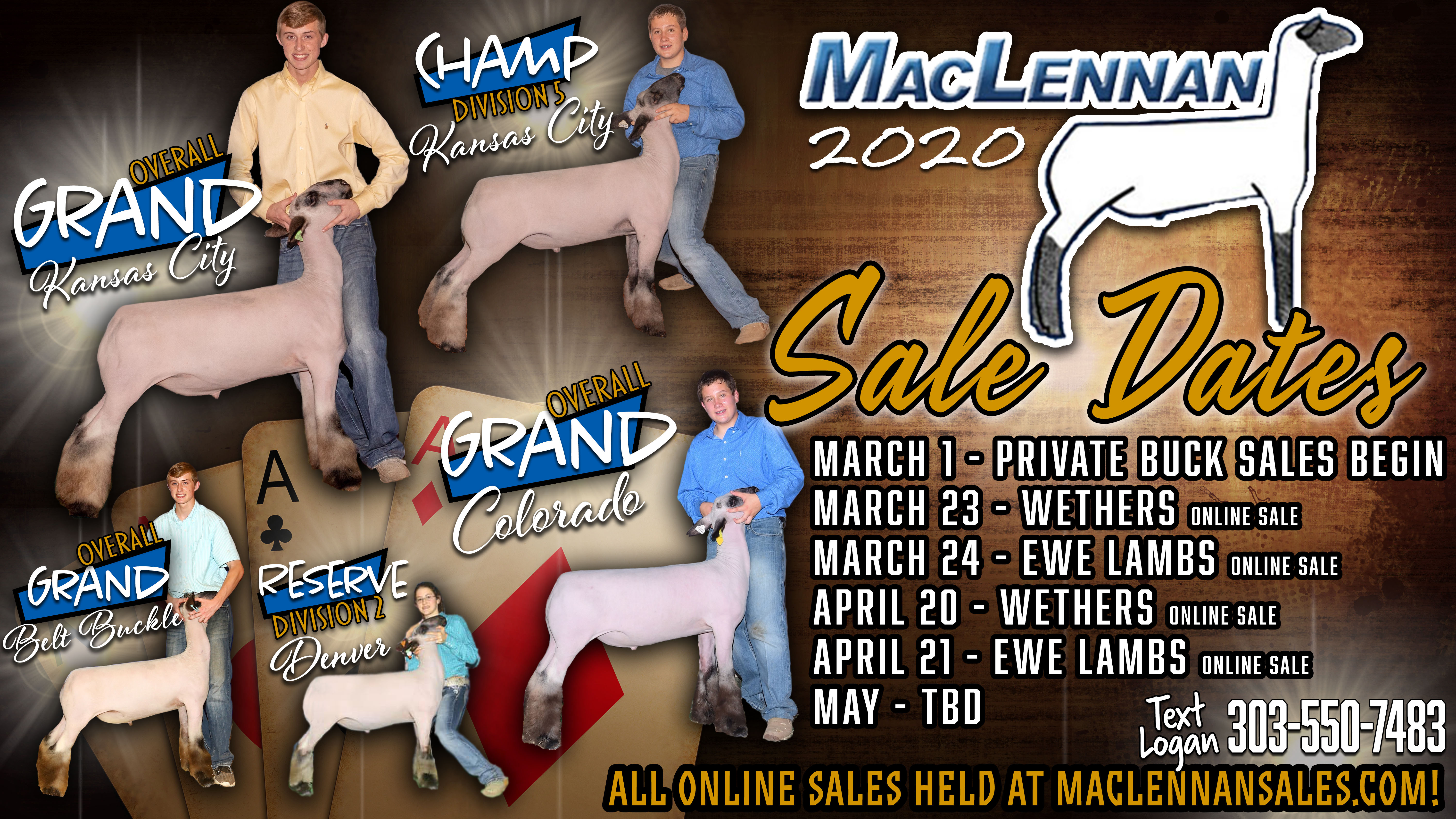MacLennan Club Lambs | Byers, Colorado