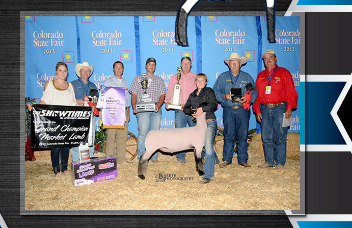 MacLennan Club Lambs | Byers, Colorado